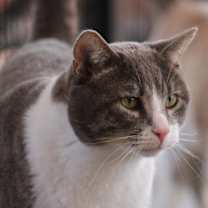 Thumbnail photo of Kenneth #2