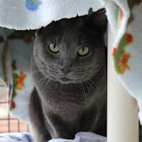 Thumbnail photo of Sienna #2