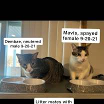 Thumbnail photo of Mavis #3