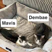 Thumbnail photo of Mavis #4