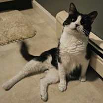 Thumbnail photo of Rosita #2