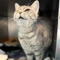 Thumbnail photo of Penelope #2