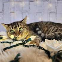 Thumbnail photo of Claire #3