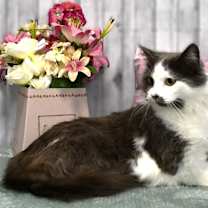 Thumbnail photo of Glenna #2