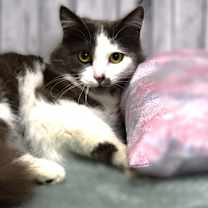 Thumbnail photo of Glenna #3