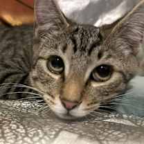 Thumbnail photo of Diego #Rivera #2