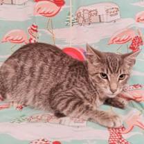 Thumbnail photo of Claude #Monet #3