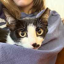 Thumbnail photo of Kit Kat #4