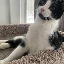 Thumbnail photo of Pumpkin #1