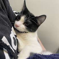 Thumbnail photo of Pumpkin #3