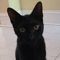 Thumbnail photo of Aura #2