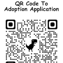 Thumbnail photo of Zonk #2