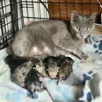 Thumbnail photo of Zonk #4