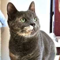 Thumbnail photo of Lil Girl #1