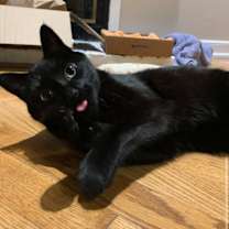 Thumbnail photo of Bear #4