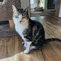 Thumbnail photo of Keeba #2