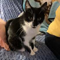 Thumbnail photo of Buddy #1