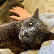 Thumbnail photo of Ghost #2