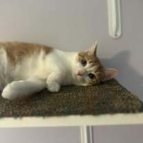 Thumbnail photo of Herrera the survivor! #1