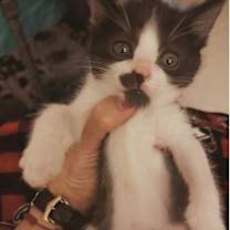 Thumbnail photo of Jack #1