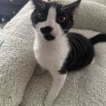 Thumbnail photo of Jack #3