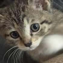 Thumbnail photo of Uno #4