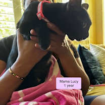 Thumbnail photo of Lucy #3