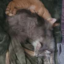 Thumbnail photo of Jackie #2