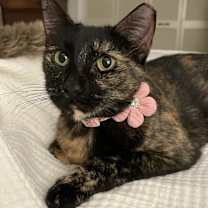 Thumbnail photo of Suzy #1