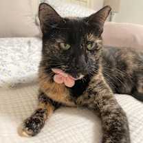 Thumbnail photo of Suzy #2