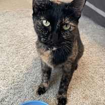 Thumbnail photo of Suzy #3