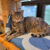 Thumbnail photo of Dory #1