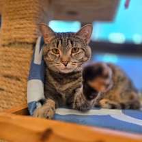 Thumbnail photo of Dory #2