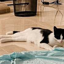 Thumbnail photo of Tip #3