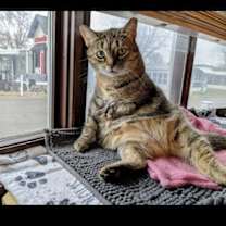 Thumbnail photo of Ruby #1