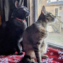 Thumbnail photo of Perry #2