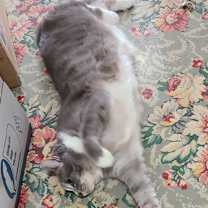 Thumbnail photo of Baby #3