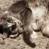 Thumbnail photo of Baby #4