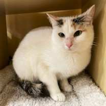 Thumbnail photo of Penelope #1