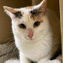 Thumbnail photo of Penelope #2