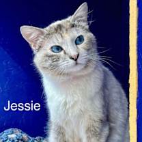 Thumbnail photo of Jenny #1