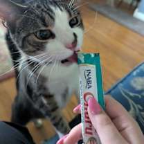 Thumbnail photo of Figs #1