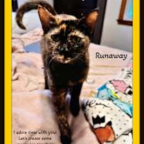 Thumbnail photo of Runaway - Not me. I luv people #1