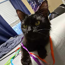 Thumbnail photo of Winnie #2
