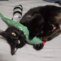 Thumbnail photo of Winnie #4