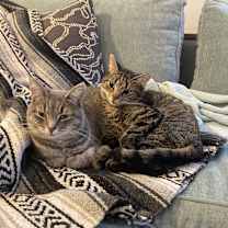 Thumbnail photo of Skye #2