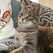 Thumbnail photo of Skye #4