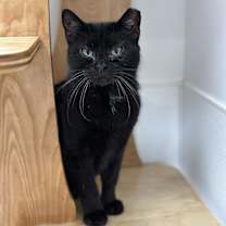 Thumbnail photo of Esme #2