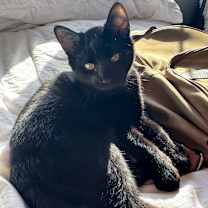 Thumbnail photo of BOO #3