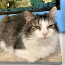 Thumbnail photo of Delia #1
